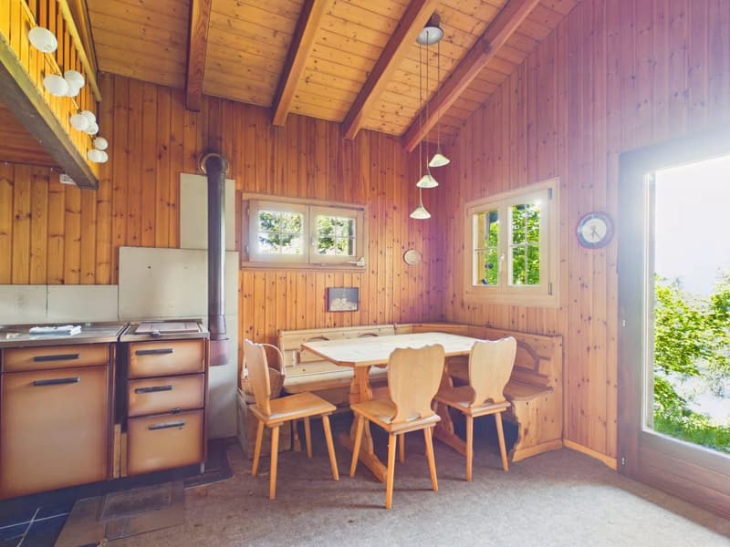 Chalet de conte de fées dans une clairière de mélèzes (7)