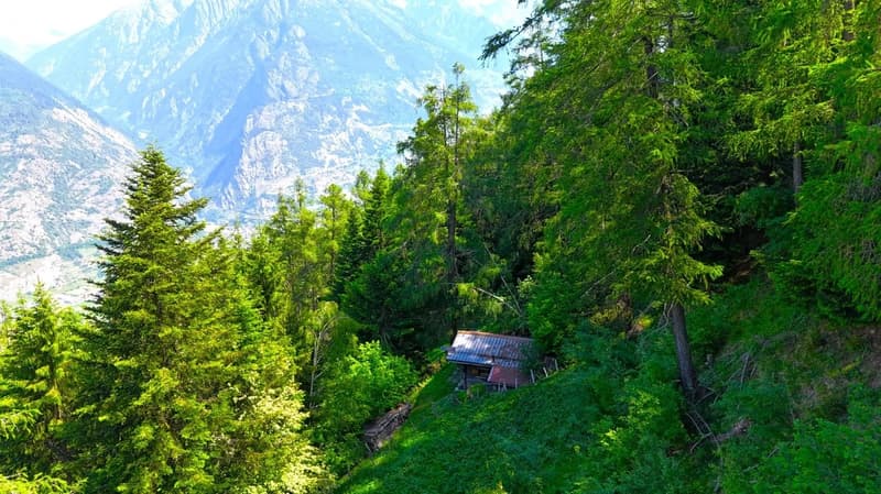 Chalet de conte de fées dans une clairière de mélèzes (12)