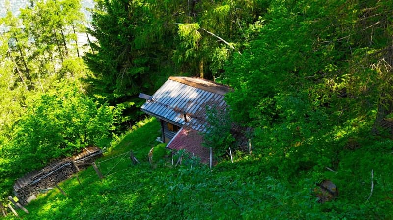 Chalet de conte de fées dans une clairière de mélèzes (11)