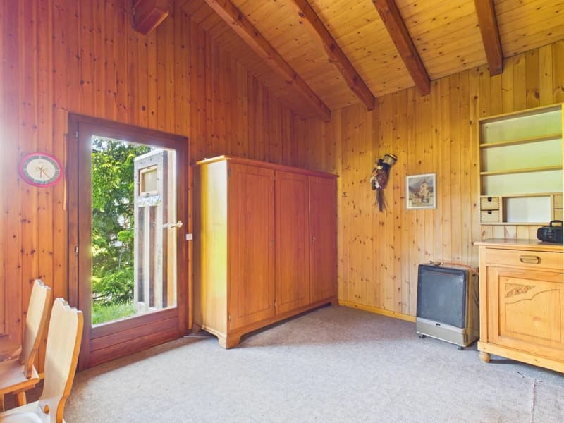 Chalet de conte de fées dans une clairière de mélèzes (6)