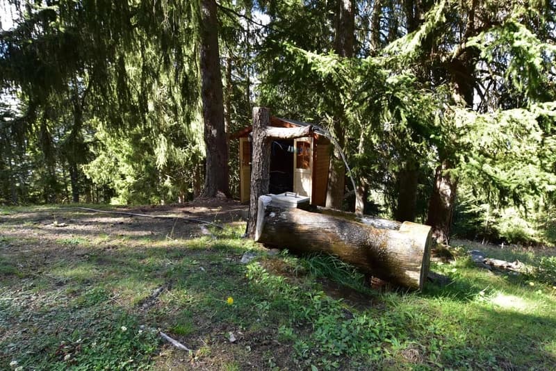 Maiensäss unique dans la nature intacte (17)