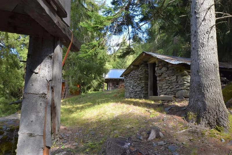 Maiensäss unique dans la nature intacte (16)