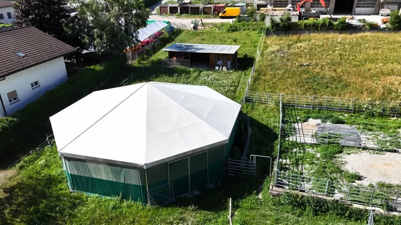 Stable, Barn and Horse Boxes – Building Land W3 with Potential (6)