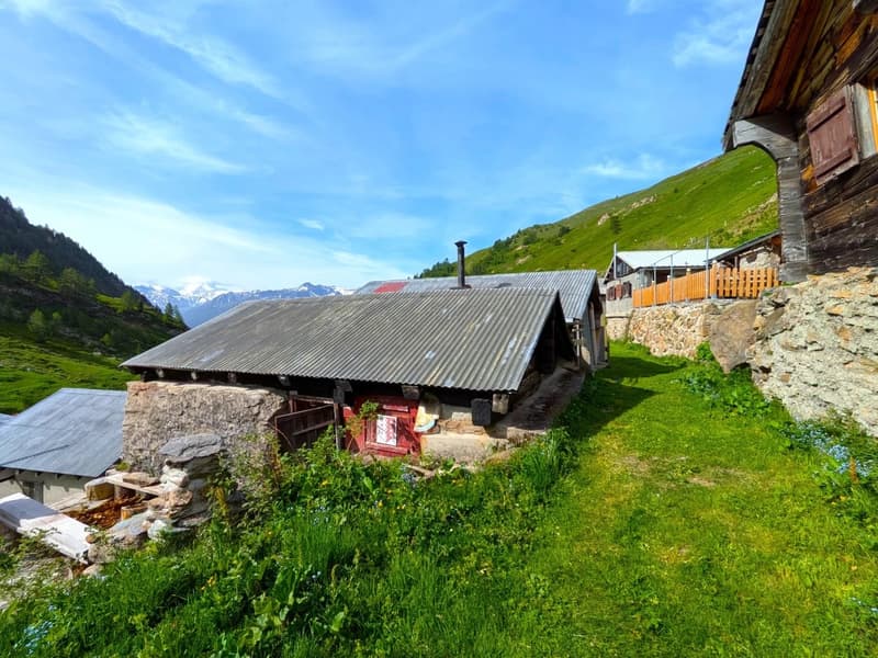 Chalet de montagne à environ 2'000 mètres d'altitude sur la Bachalpe (8)