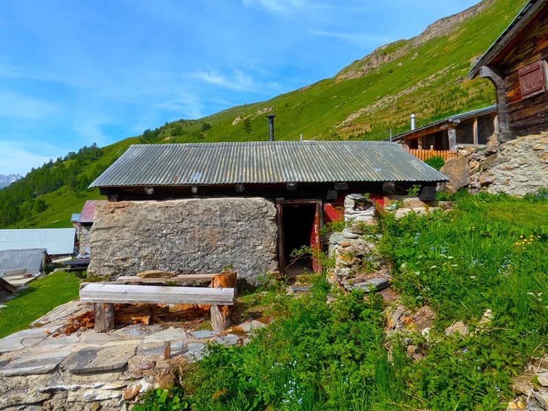 Chalet de montagne à environ 2'000 mètres d'altitude sur la Bachalpe (9)