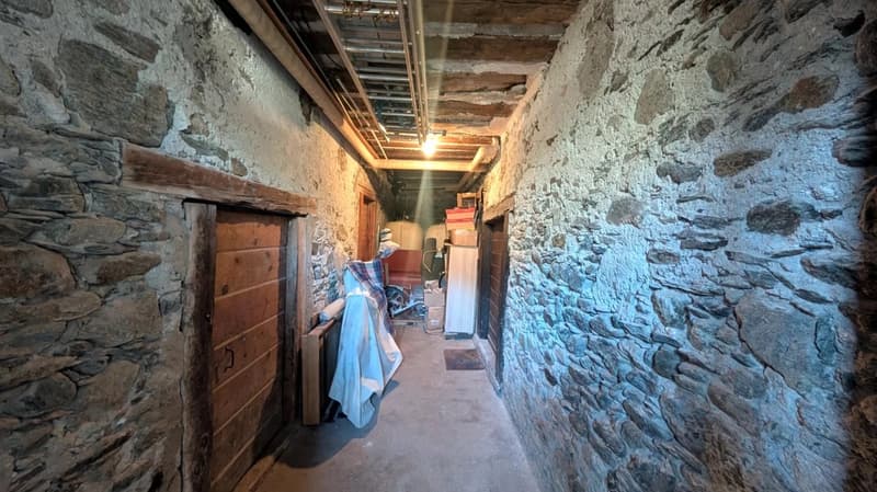 Charmante Wohnung mit Carnotzet in Agarn (13)