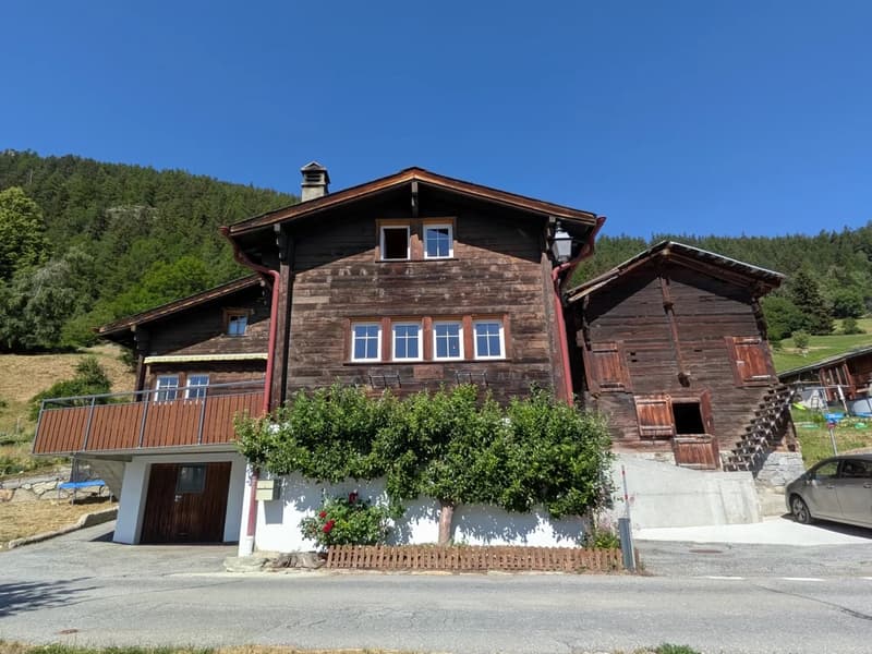 Maison unifamiliale avec étable à Zeneggen (1)