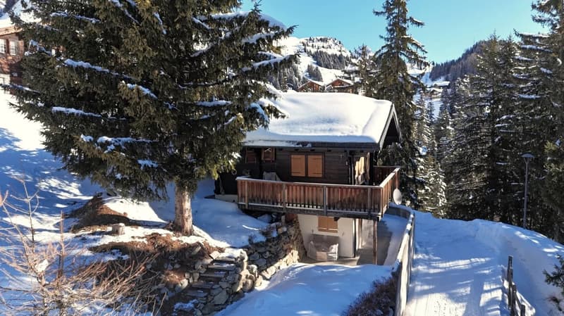 Refuge de montagne avec confort ski-in sur Riederalp (24)