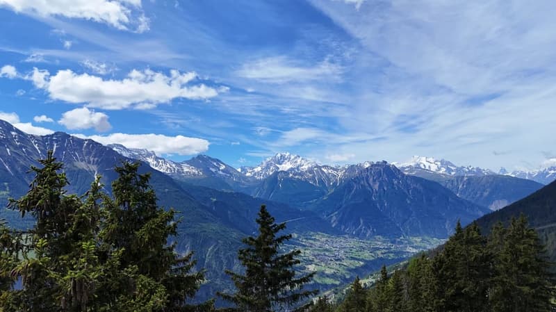 Refuge de montagne avec confort ski-in sur Riederalp (9)