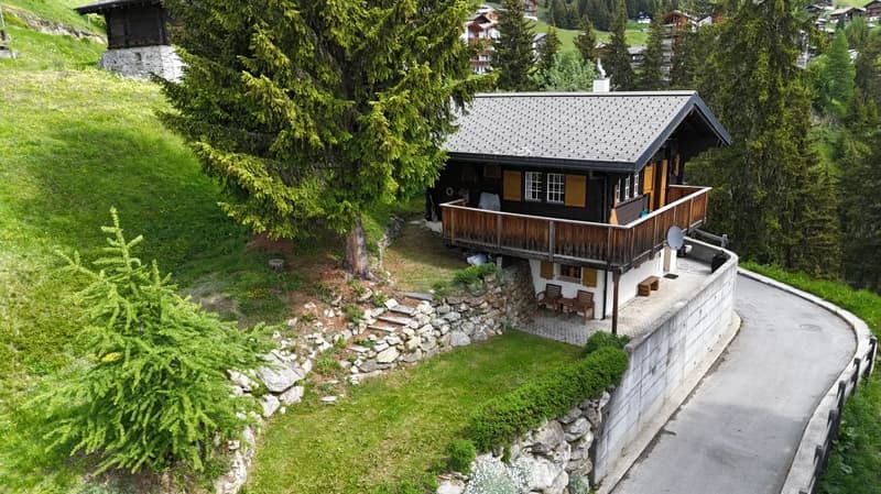 Refuge de montagne avec confort ski-in sur Riederalp (2)