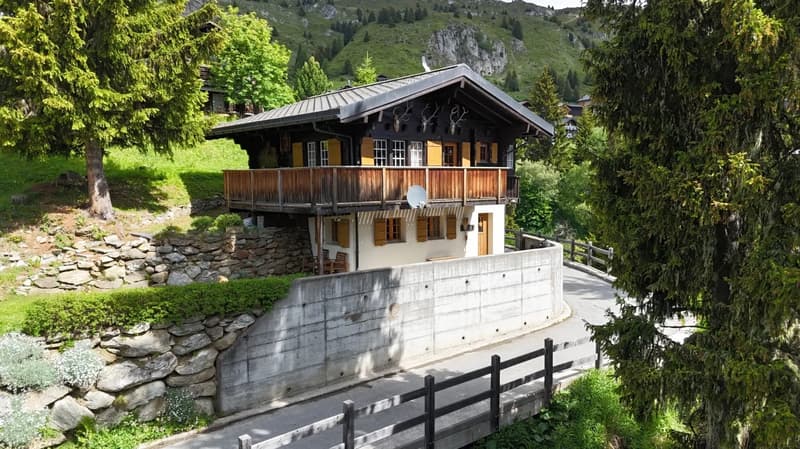 Refuge de montagne avec confort ski-in sur Riederalp (1)