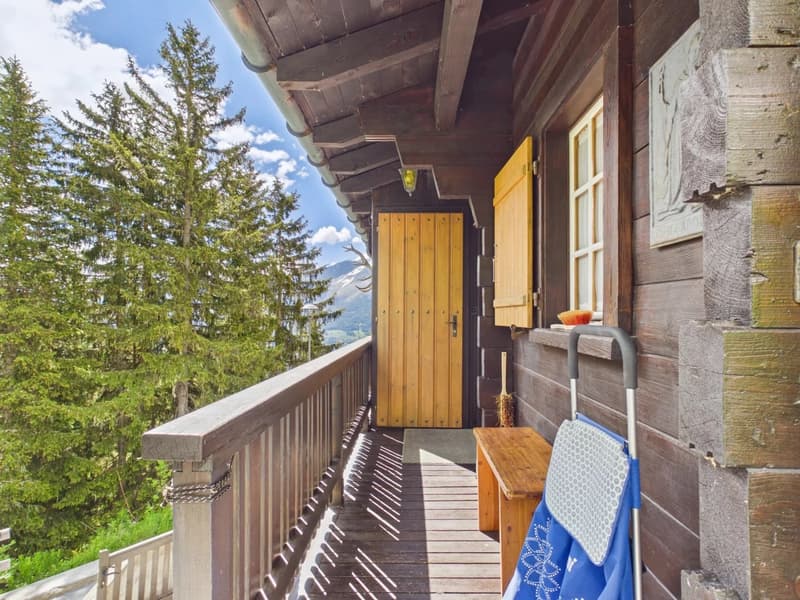 Refuge de montagne avec confort ski-in sur Riederalp (14)