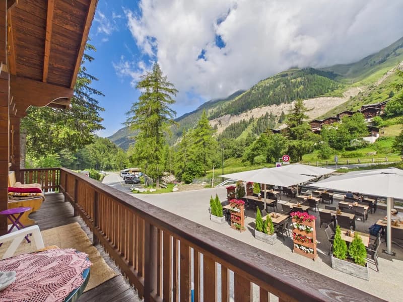 Due appartamenti nel parco paesaggistico di Binntal (11)