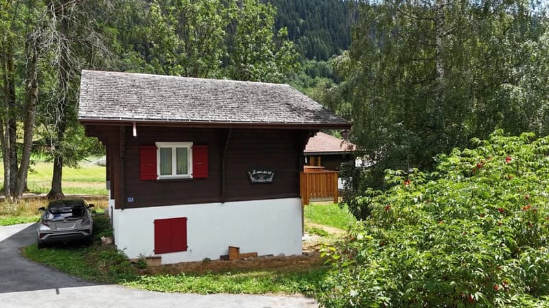 Chalet charmant dans un endroit calme à Fieschertal (4)