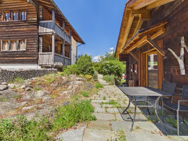 Holiday apartment with Alpine stable & natural idyll in Valais (16)