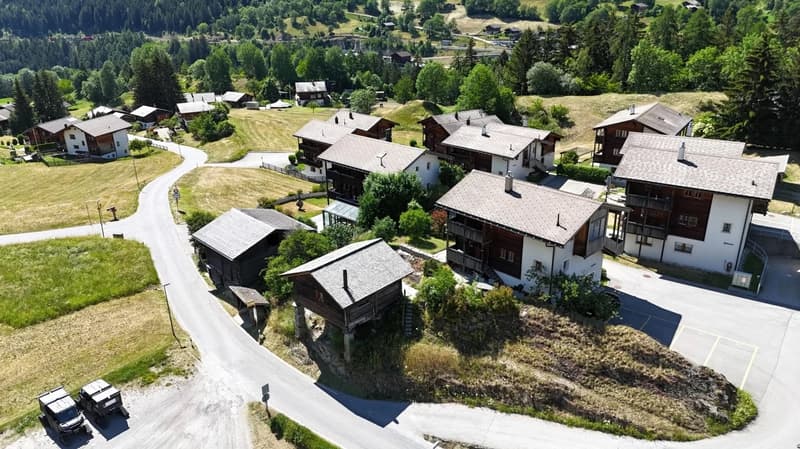 Holiday apartment with Alpine stable & natural idyll in Valais (3)