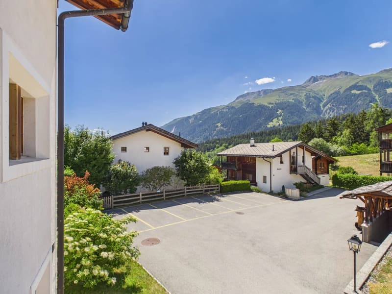 Holiday apartment with Alpine stable & natural idyll in Valais (22)