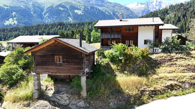 Holiday apartment with Alpine stable & natural idyll in Valais (1)