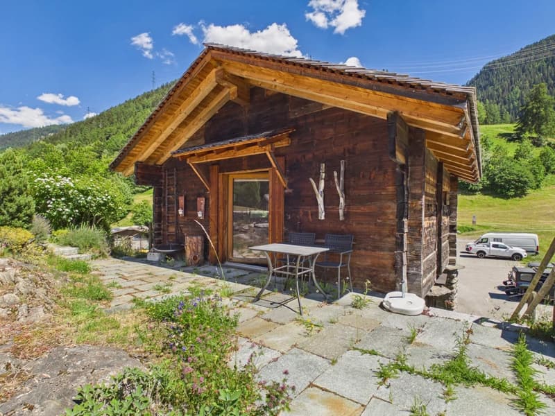 Holiday apartment with Alpine stable & natural idyll in Valais (15)