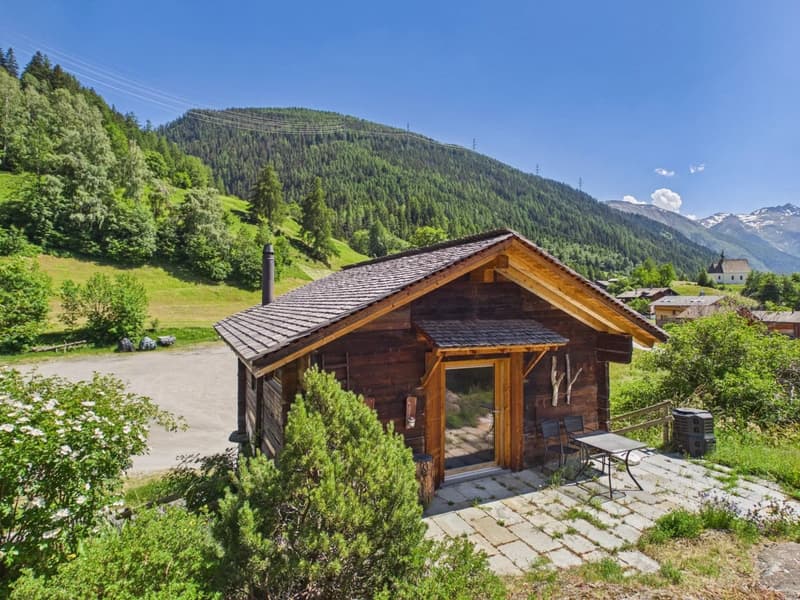 Holiday apartment with Alpine stable & natural idyll in Valais (14)