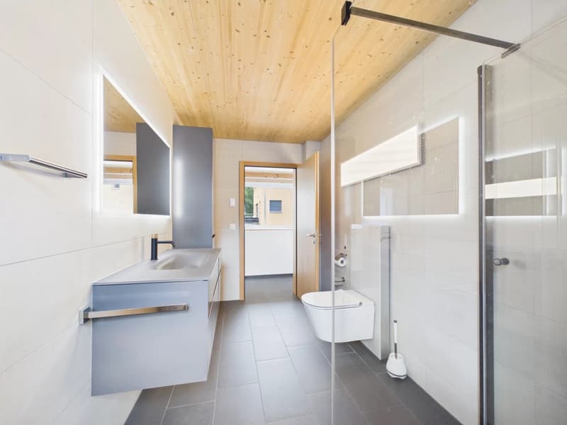 Modern single-family house in an idyllic natural setting (7)