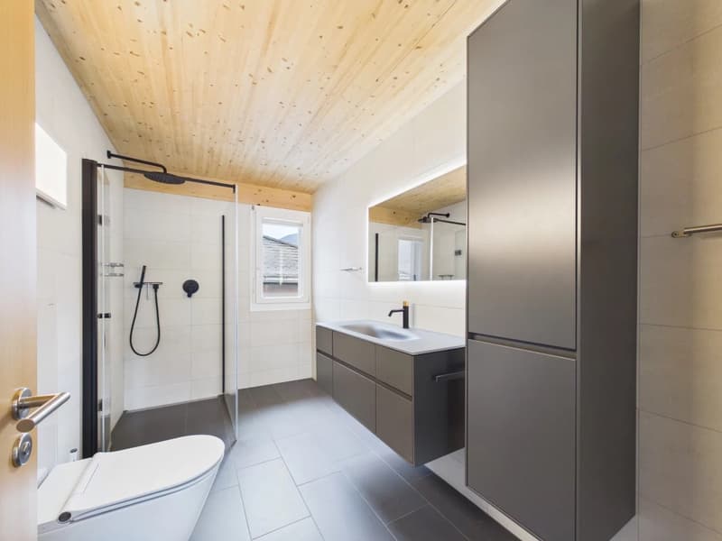 Modern single-family house in an idyllic natural setting (6)