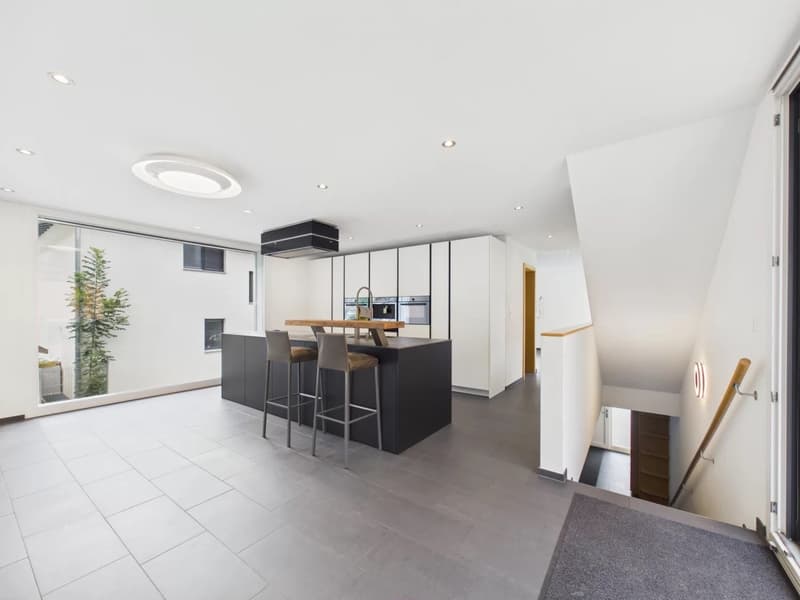Modern single-family house in an idyllic natural setting (3)