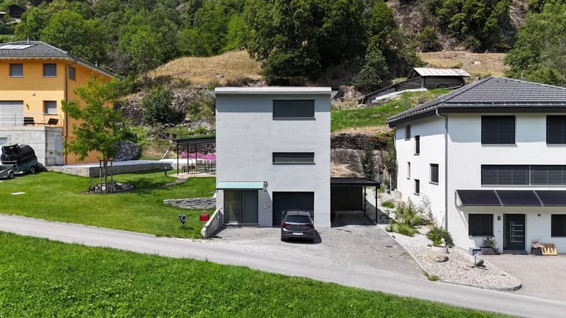 Modern single-family house in an idyllic natural setting (1)