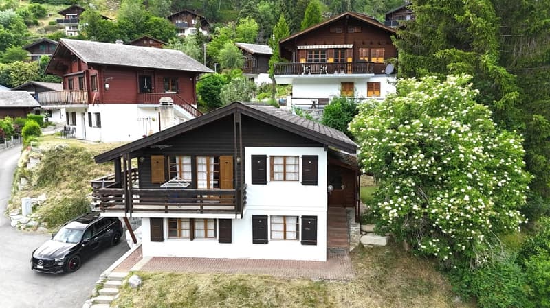 Ferienparadies mit Alpenflair – Chalet nahe Aletscharena (1)