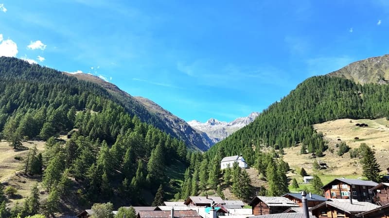 Gemütliche Ferienwohnung in Münster (Goms) - Walliser Charme und Bergpanorama (15)