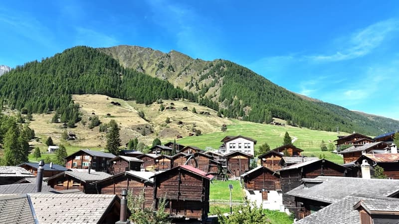 Gemütliche Ferienwohnung in Münster (Goms) - Walliser Charme und Bergpanorama (14)