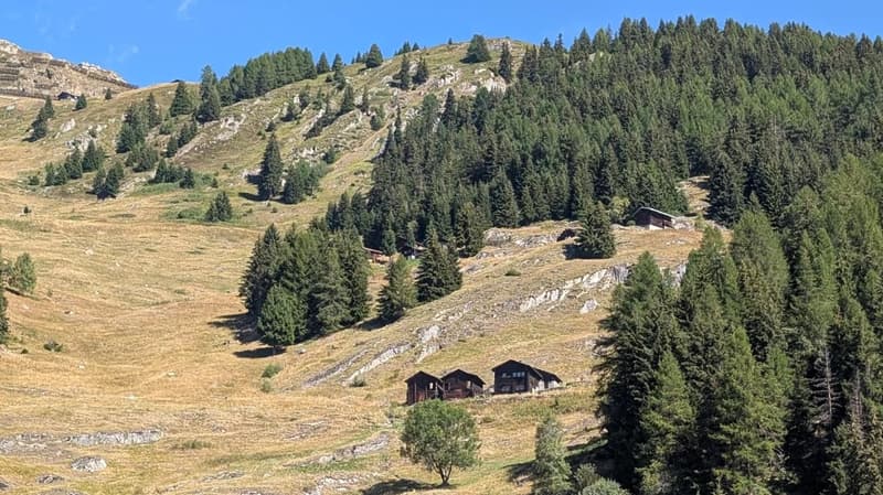 Authentisches Bergidyll mit Potenzial bei der Belalp (19)
