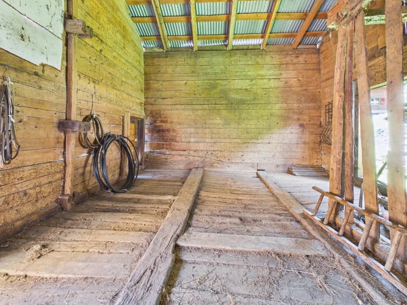 Stall-Scheune mit Zweitwohnsitzpotenzial bei der Riederalp (10)