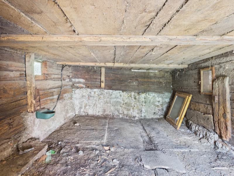 Stall-Scheune mit Zweitwohnsitzpotenzial bei der Riederalp (5)
