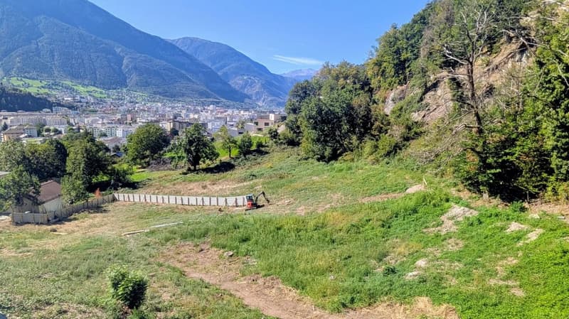 Gesuchtes Bauland über dem Rhonetal in Naters (2)