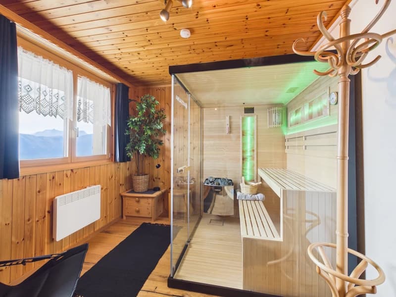 Ski-in-Ski-out mit Traumpanorama und eigener Sauna (4)