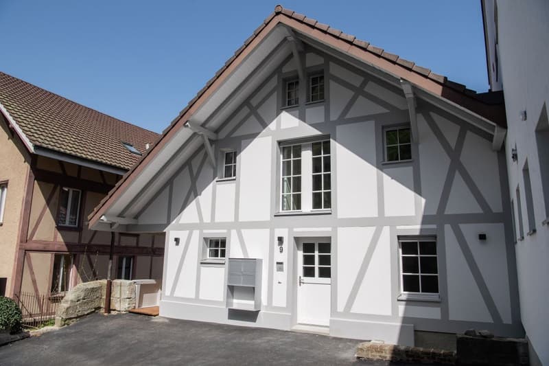 Erstvermietung zentral gelegene kernsanierte luxeriöse Dachwohnung (2)