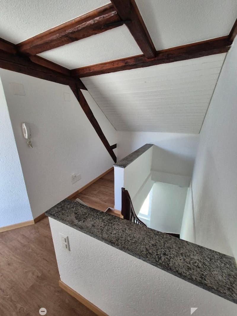 Charmante 4-Zimmer-Maisonette-Wohnung mit Dachterrasse und Kamin in Biel/Bienne – sofort verfügbar! (4)