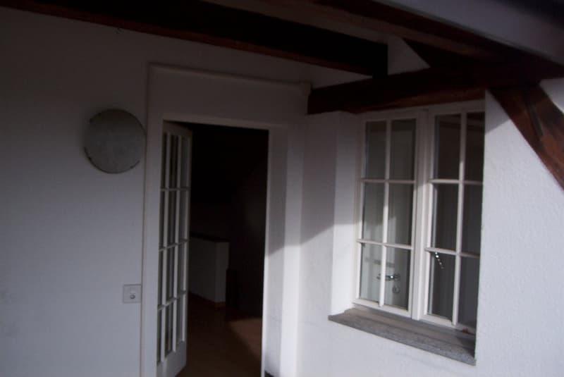 Affascinante appartamento a maisonnette di 4 locali con terrazza sul tetto e camino a Biel/Bienne – disponibile immediatamente! (2)