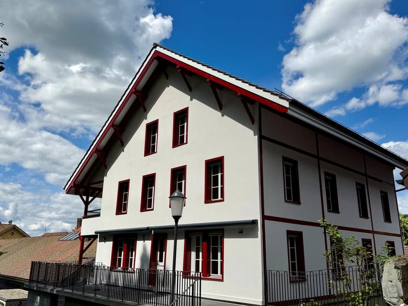 Appartamento mansardato ristrutturato 2 locali (12)
