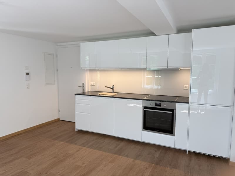 Appartement 2 pièces rénové au cœur de la ville (10)