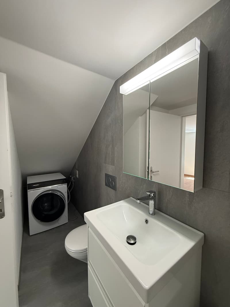 Appartement 2 pièces rénové au cœur de la ville (12)