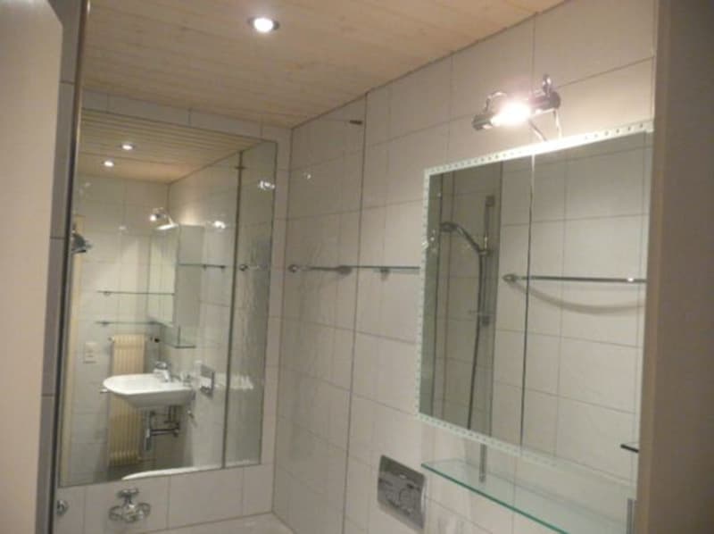 1-room studio for weekly residents Bümplizstrasse 185 (3)