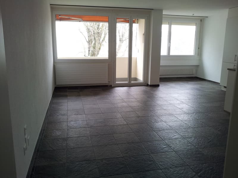 3-Zimmer-Wohnung, Eisfeldstrasse 11 A, 2504 Biel (4)