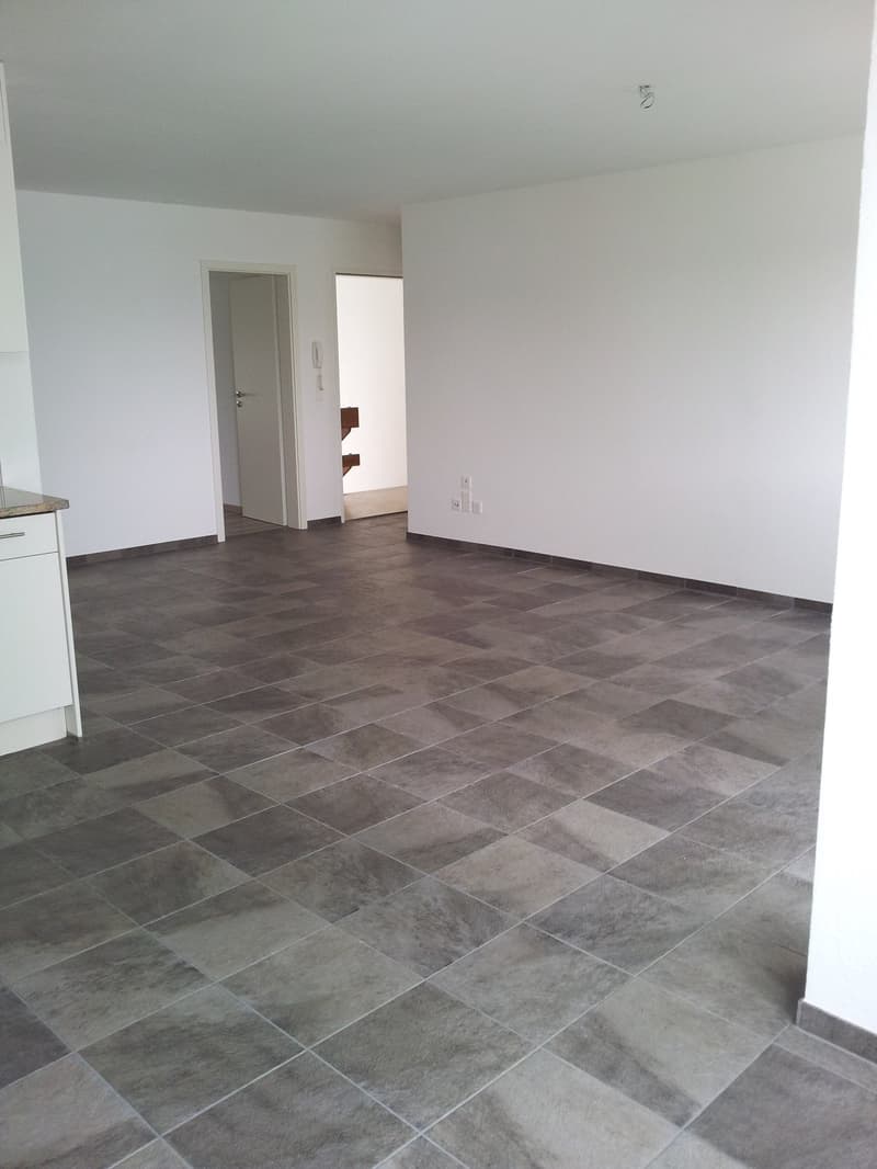 3-Zimmer-Wohnung, Eisfeldstrasse 11 A, 2504 Biel (3)