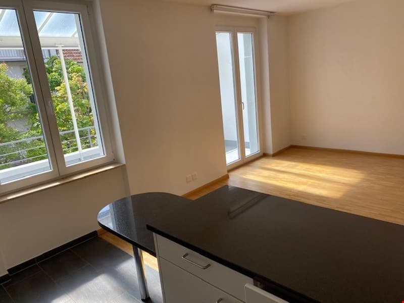 Appartement 2 pièces, Stöberstrasse 21, 4055 Bâle, 2e étage (5)