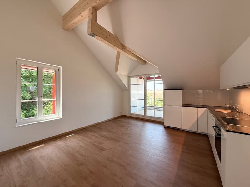 Erstbezug 2-Zimmer-Dachgeschosswohnung (11)
