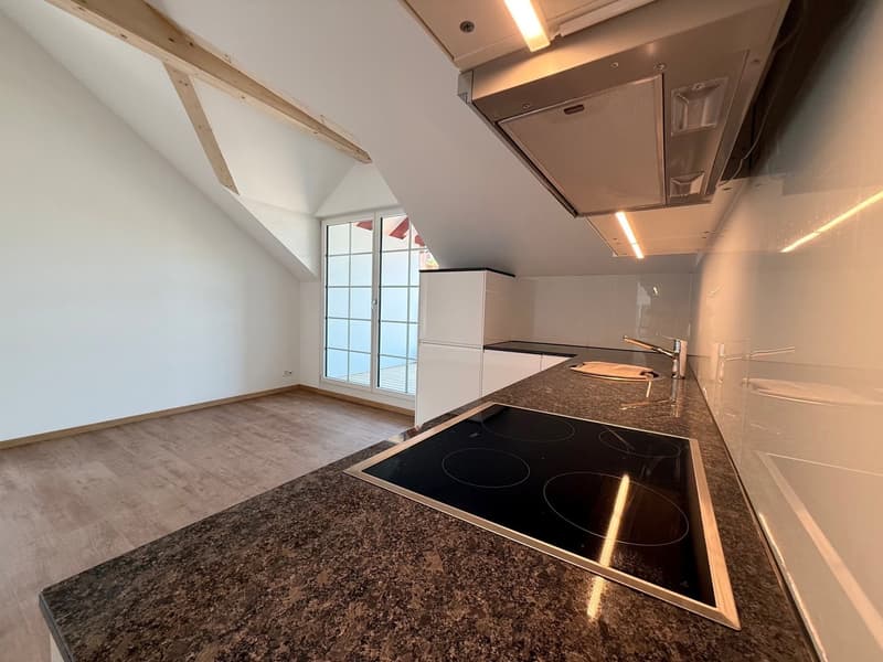 Erstbezug 2-Zimmer-Dachgeschosswohnung (9)