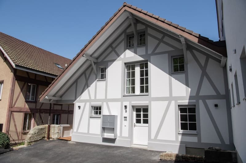Kernsanierte zentral gelegene 3.5 Zi-Wohnung (1)
