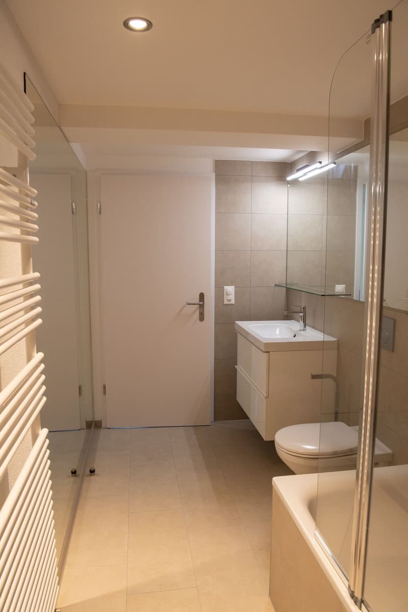 Kernsanierte zentral gelegene 3.5 Zi-Wohnung (12)
